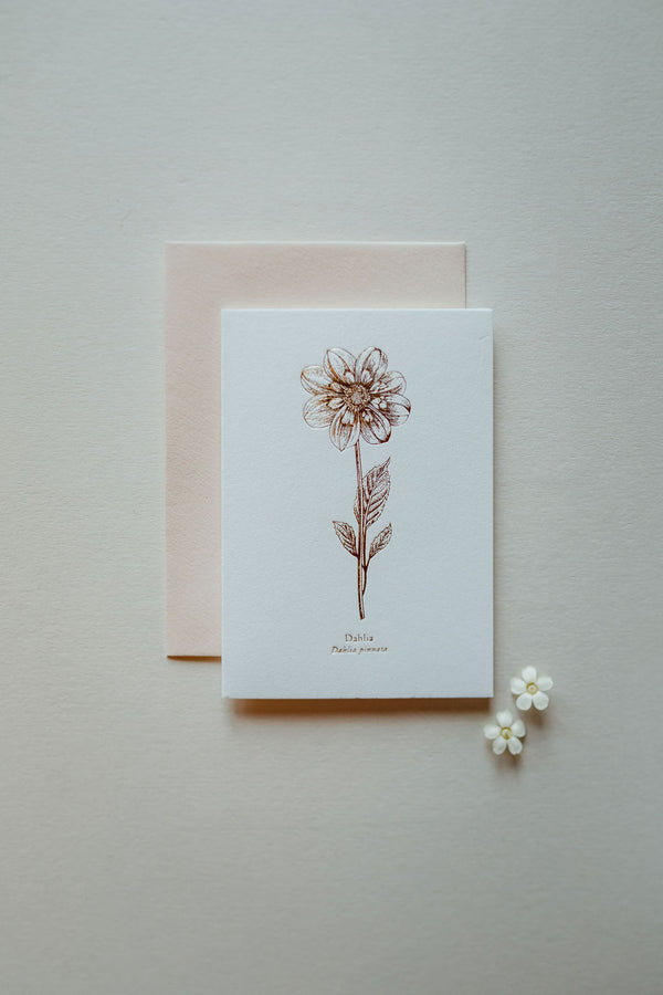 Dahlia Card