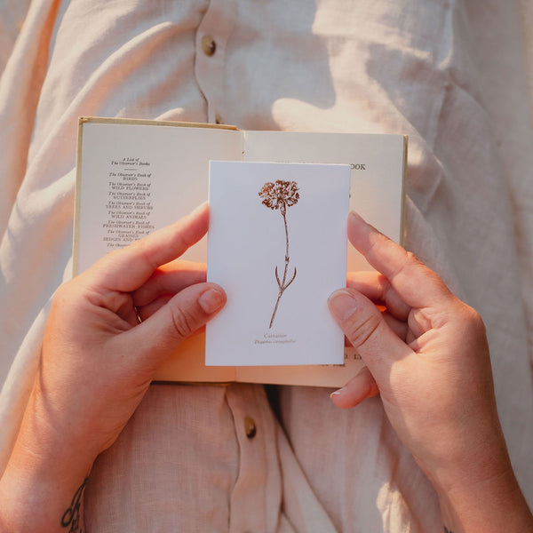 Carnation Card