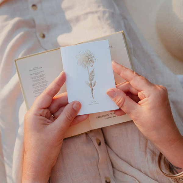 Dahlia Card